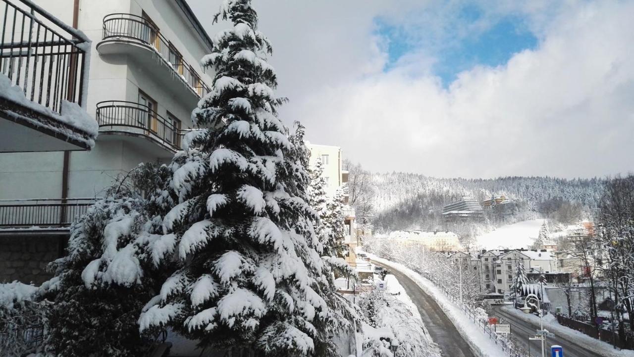 Domy Wczasowe Tryumfy Bed and Breakfast Krynica-Zdrój Exterior foto
